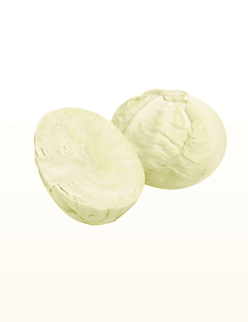 Choux Blanc
